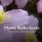 Welke klussen u in december in de tuin kunt doen